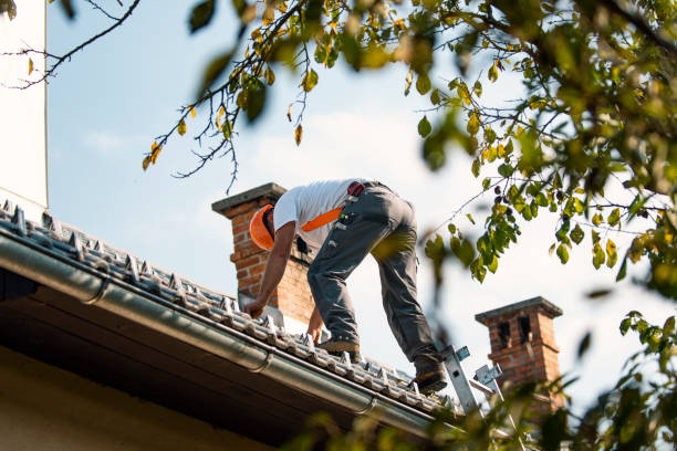 Best Roof Moss and Algae Removal  in Springfield, IL