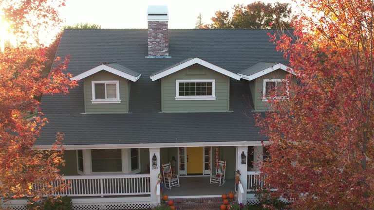 Best Solar Panel Roofing Installation  in Springfield, IL