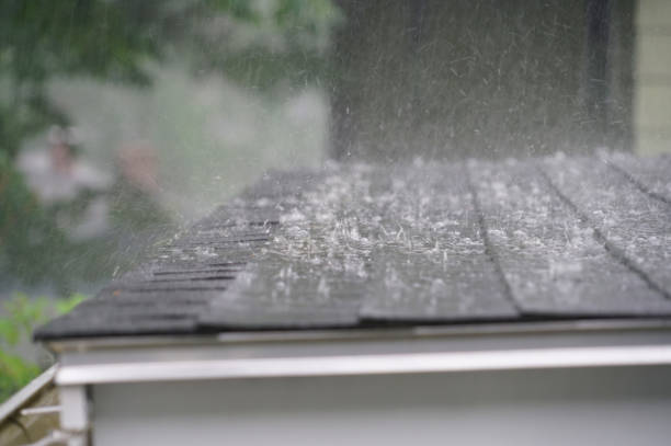 Best Commercial Roofing Services  in Springfield, IL