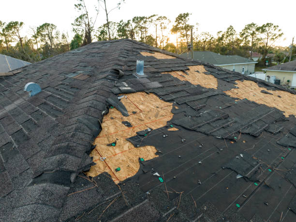 Best Roof Repair  in Springfield, IL