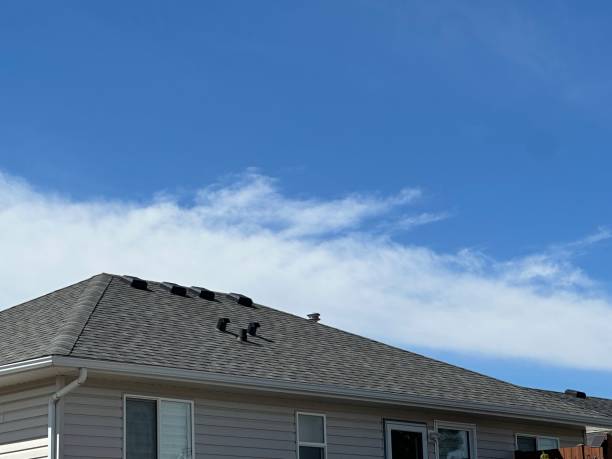 Best Roof Waterproofing  in Springfield, IL
